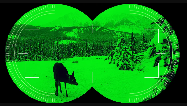 [Niet gebruikt] Nightvision